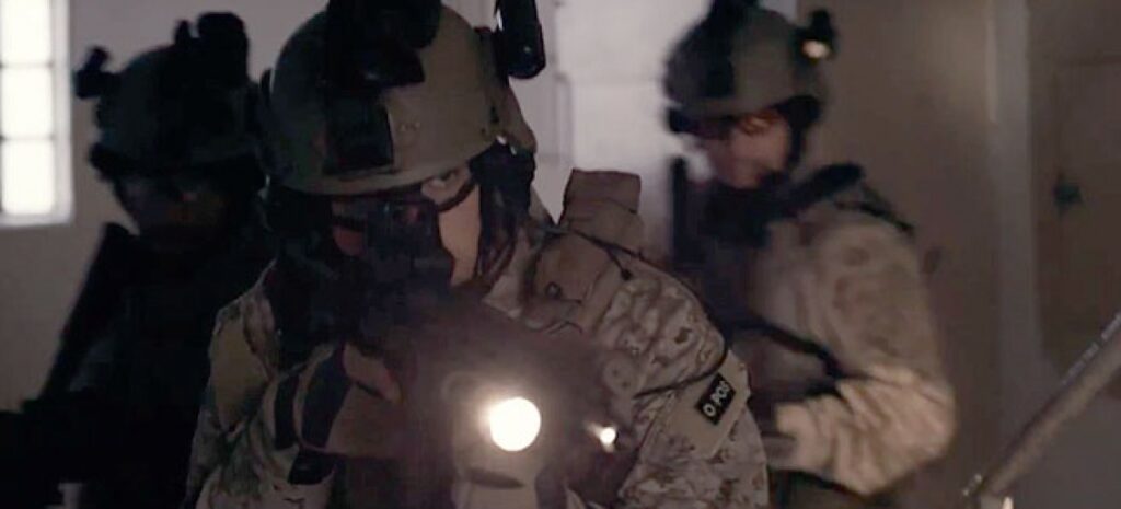 Why Doesn’t the Business World Operate Like the Navy SEAL Team